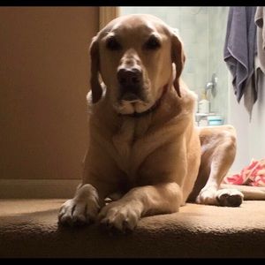 Meet your Posher, Megan